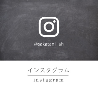インスタグラム