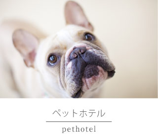 ペットホテル